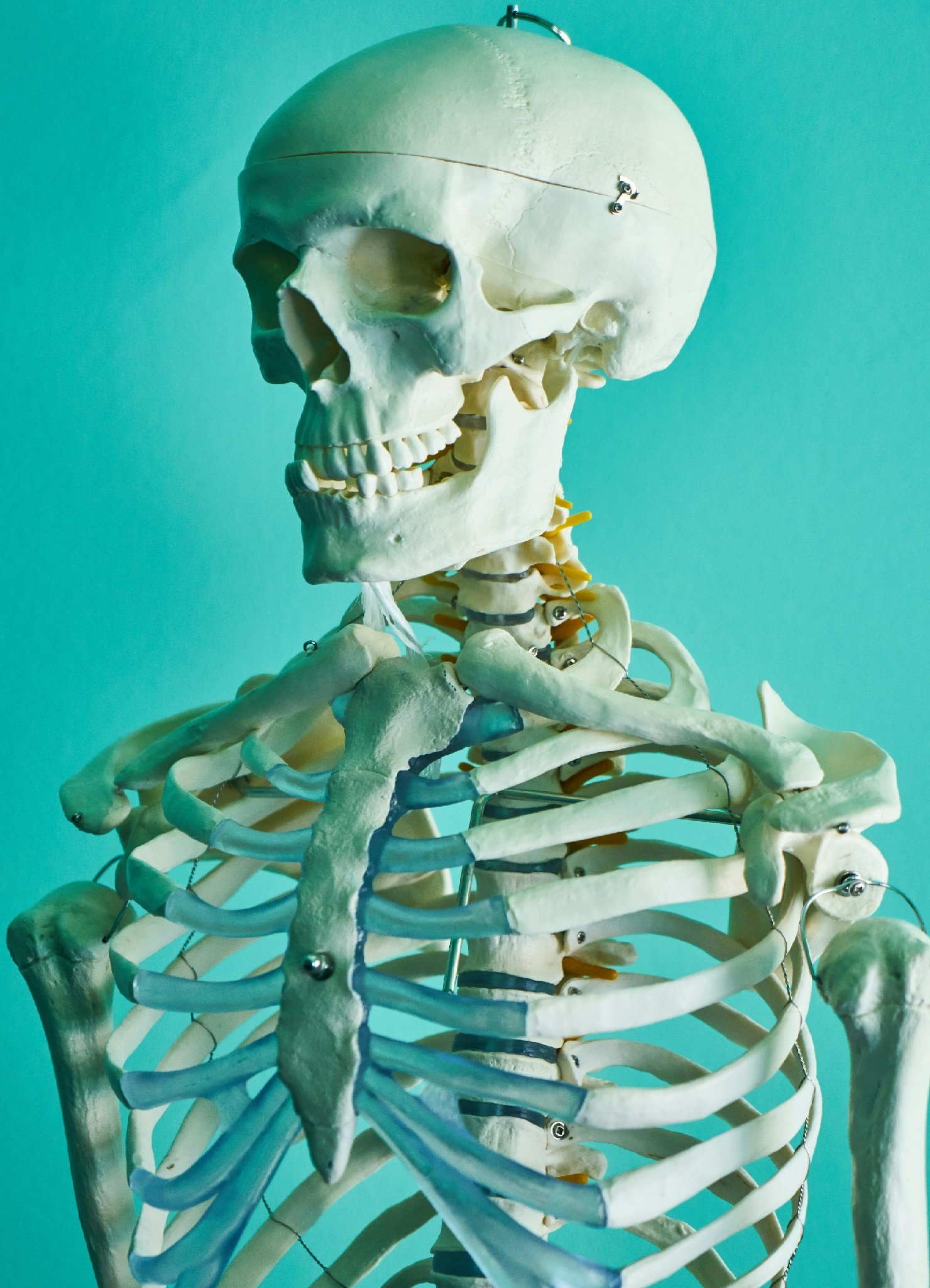 Uncovering the Connection between Africa, Karachi, Pakistan, and Skeletons